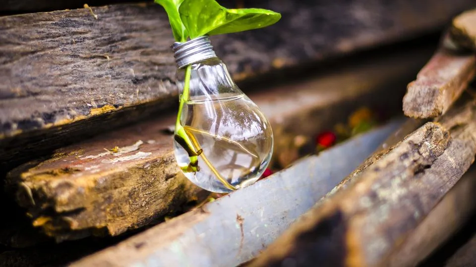 Repurposing və miqyaslanma: bir materialdan çox nəticə çıxarmaq